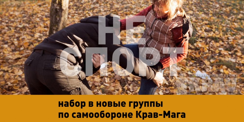 7.jpg 7.jpg