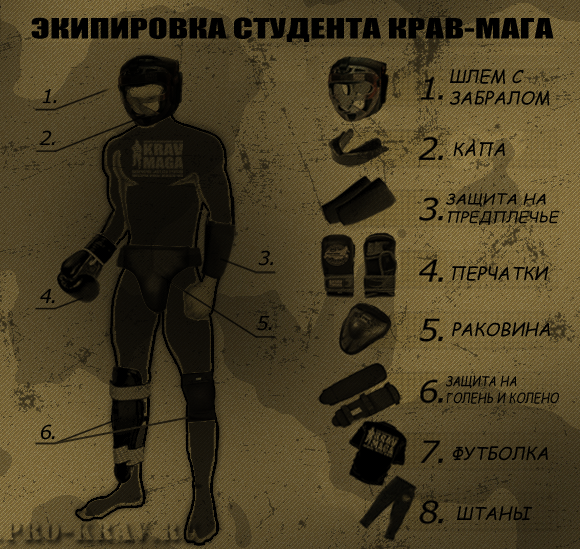 экипировка для занятий крав-мага экипировка для занятий крав-мага